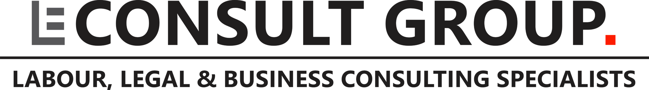 LE Consult Group Logo HIGH RES PNG (RGB)